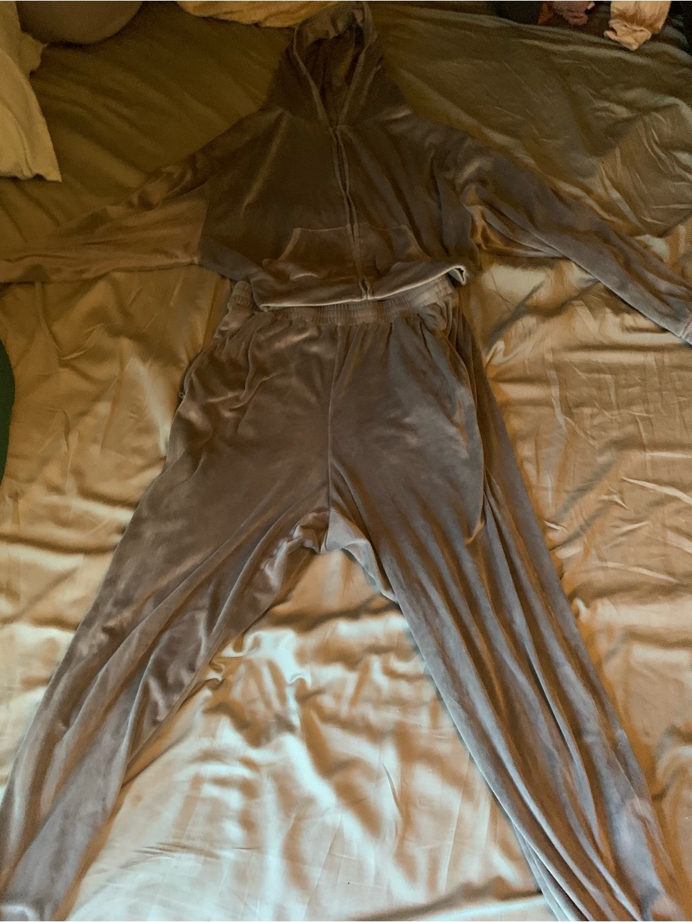 SKIMS Velour Hooded Sweatshirt and Joggers Set - silver